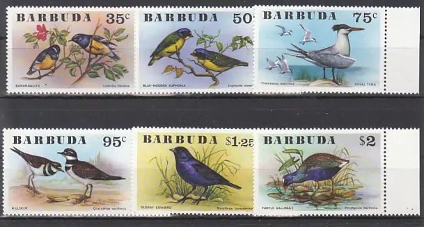 BARBUDA